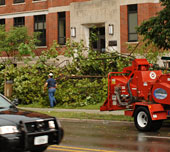 Workers clean up downed tree