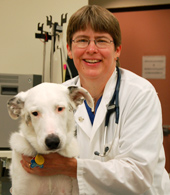 Dr. Kim Langholz with a white dog