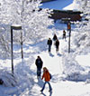 Students on snowy campus
